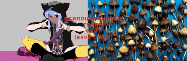 круглые Бородино