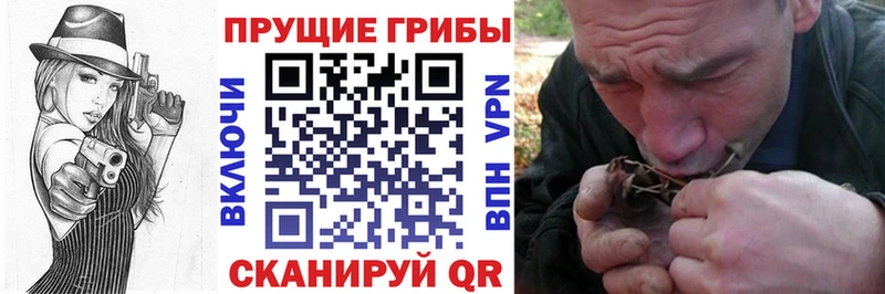 Галлюциногенные грибы Psilocybine cubensis  мориарти как зайти  Октябрьский 